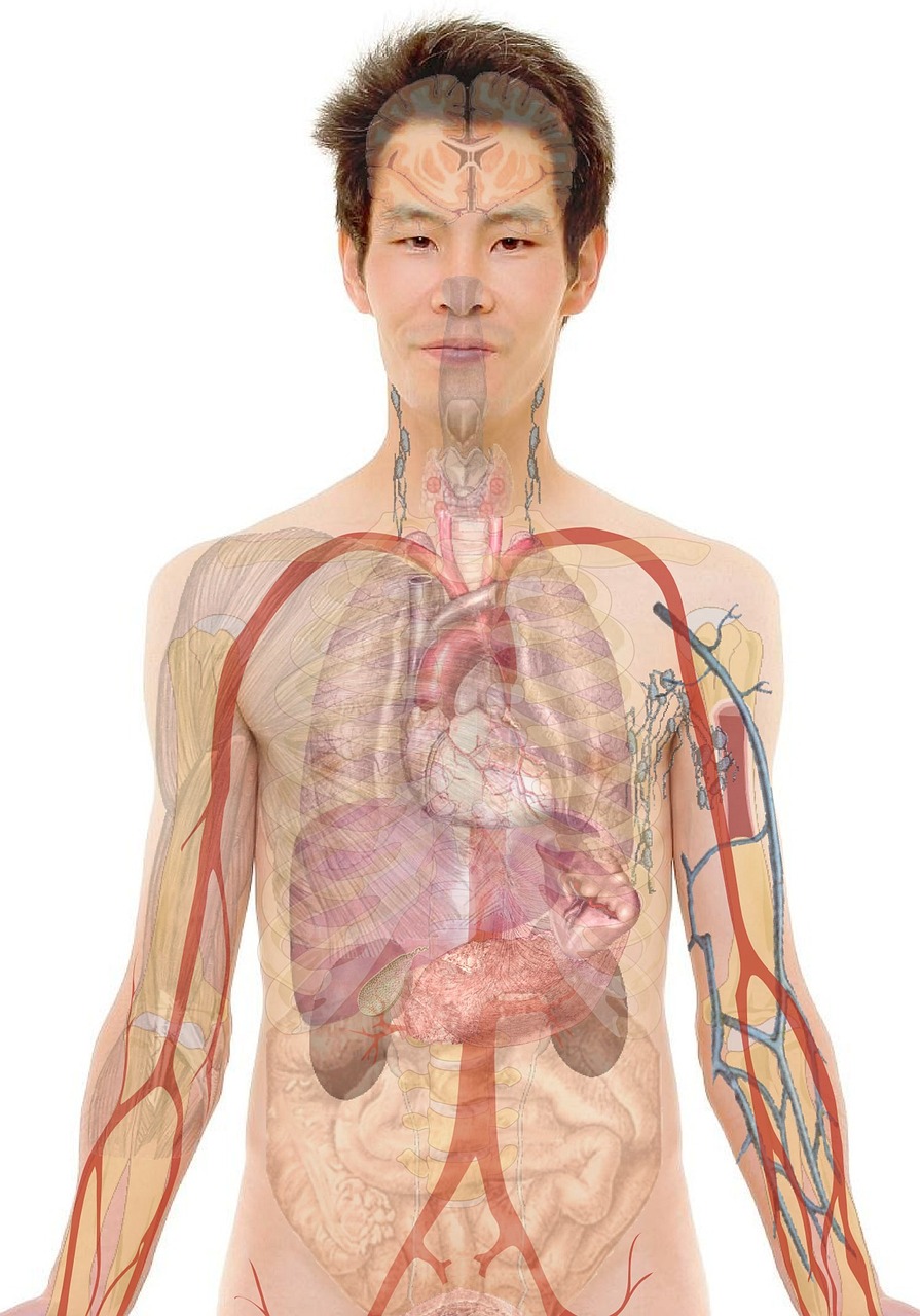 訪問看護がターミナルケアにおいて果たす役割とは？