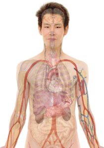 訪問看護でのターミナルケアの重要性とは？