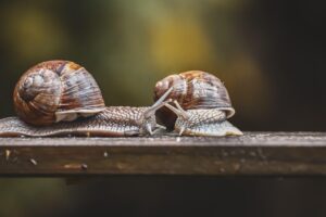 在宅介護における見守りセンサーサービスのメリットとは？
