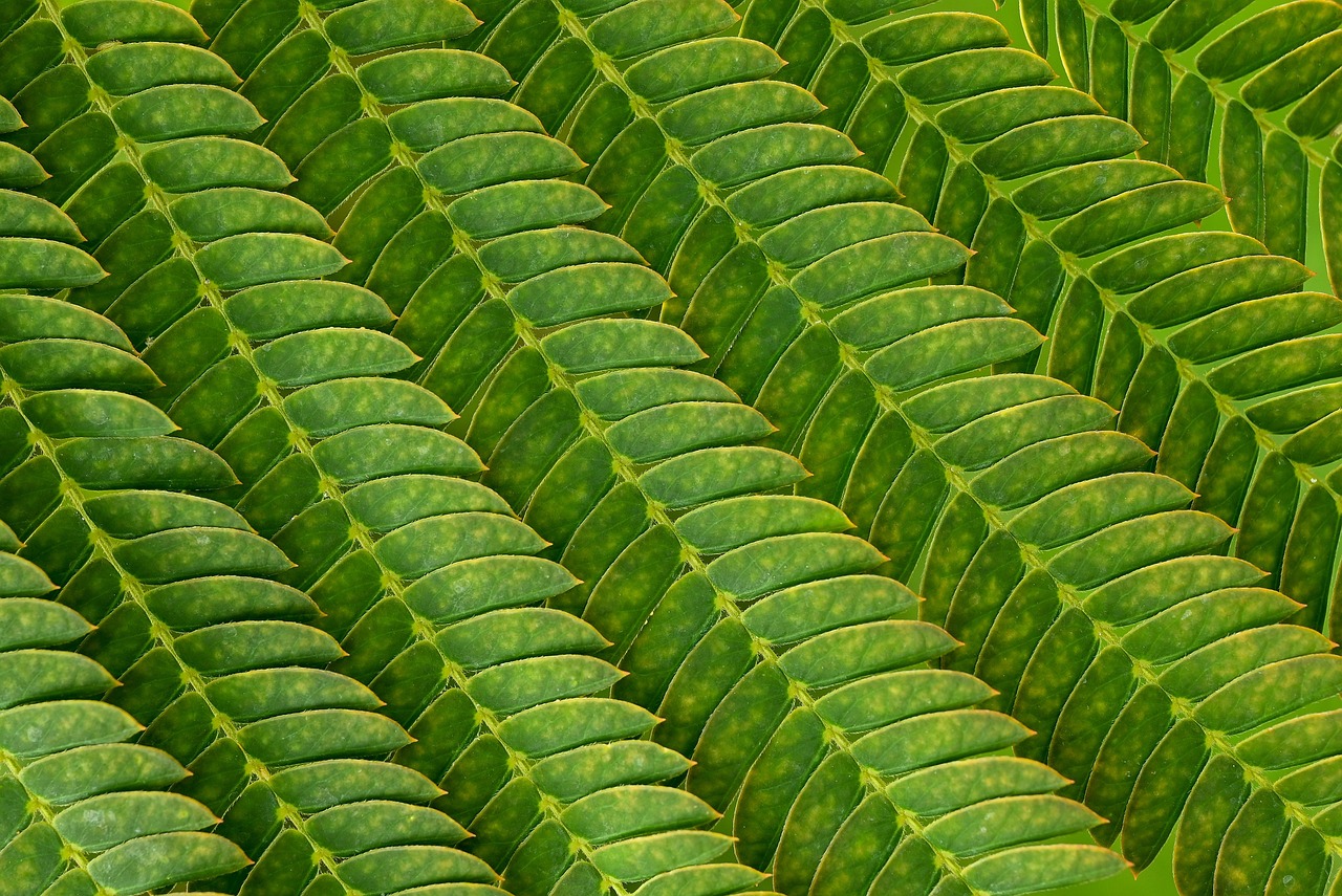 在宅介護で知っておきたいサービスの訪問介護内容とは？