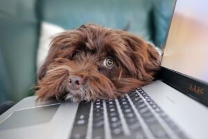 在宅介護のサービスを無料で相談できる場所はどこですか？