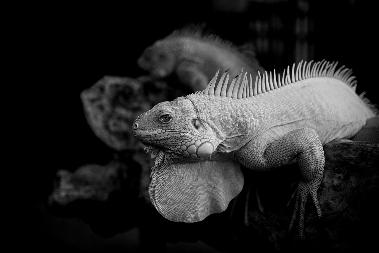 30代の方が知っておくべきPM2.5による肌荒れの予防法は？