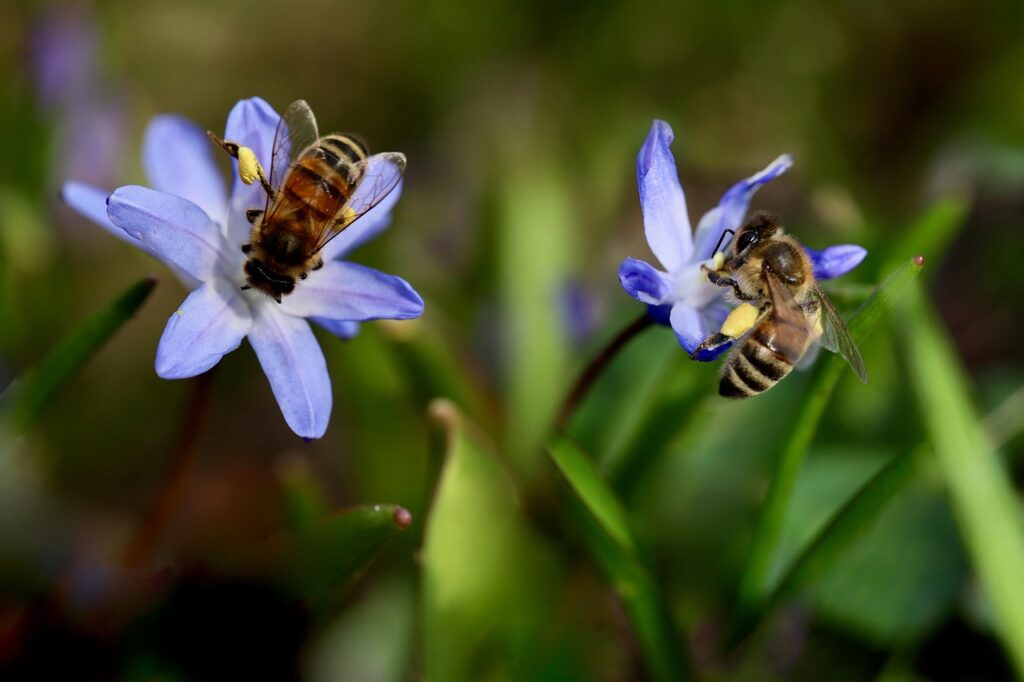 30代の花粉による肌荒れ対策におすすめのスキンケアは？