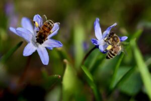 30代の花粉による肌荒れ対策におすすめのスキンケアは？