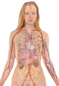 親の介護における訪問看護はどこまでサポートしてくれるのか？