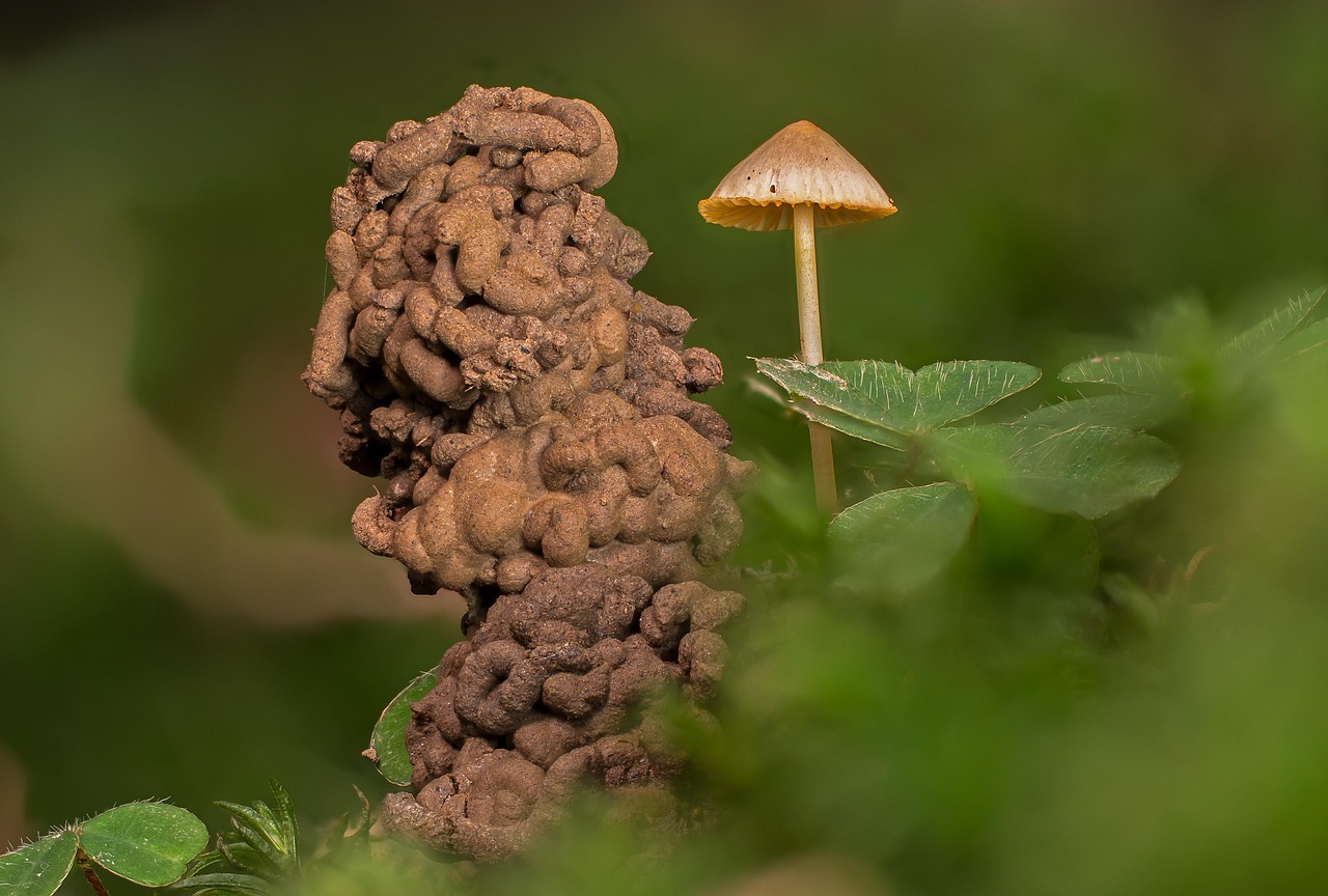 親の介護で排泄ケアに困るときの対処法は？