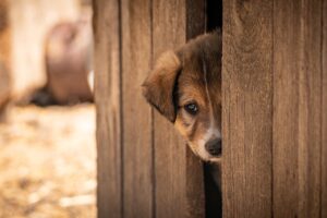 親の介護は在宅と施設のどっちが良いのか？